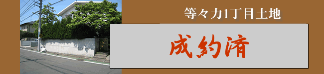 X͂Pړyn